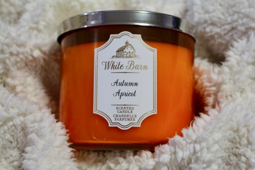 Bath & Body Works Autumn Apricot Candle | Chloe Plus Coffee