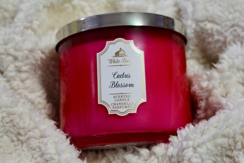 Bath & Body Works Cactus Blossom Candle | Chloe Plus Coffee